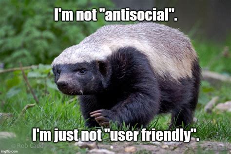 Antisocial Honey Badger Imgflip