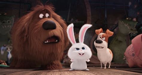 Movie Review — ‘the Secret Life Of Pets Is Overflowing With Comedy