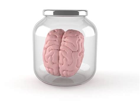 680 Brain In A Jar Stock Photos Pictures And Royalty Free Images Istock