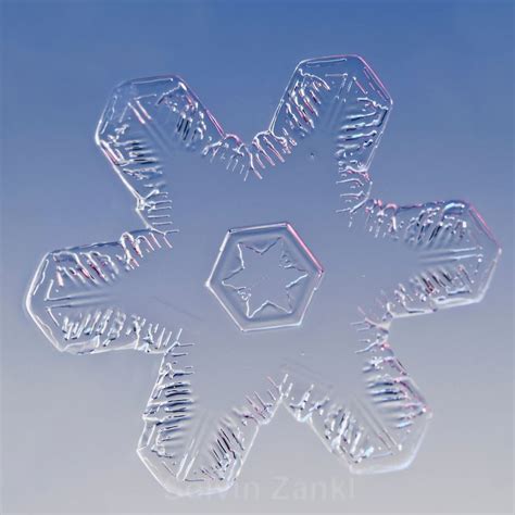 Snowflake Snow Crystal Photographs Schneeflocke Schneekristall