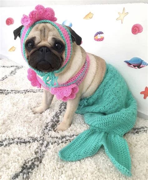 Como Fazer Fantasia De Cachorro Infantil