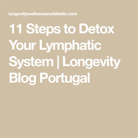 11 Steps To Detox Your Lymphatic System Longevity Blog Portugal