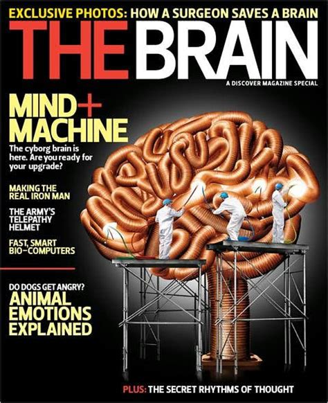 Discover Magazine S The Brain By Kalmbach Publishing Co Nook Book Ebook Barnes Noble