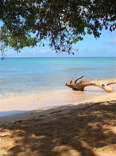 A Tranquil Day At Six Mens Bay On The North West Coast Of Barbados