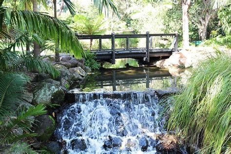Gold Coast Regional Botanic Gardens Benowa Must Do Gold Coast