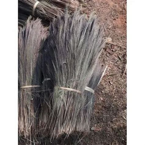 Broom Grass Pack Size 5 To 10 Kg At Rs 130kilogram In Rohtak Id