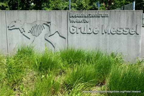 Messel Pit Fossil Site Natural World Heritage Sites