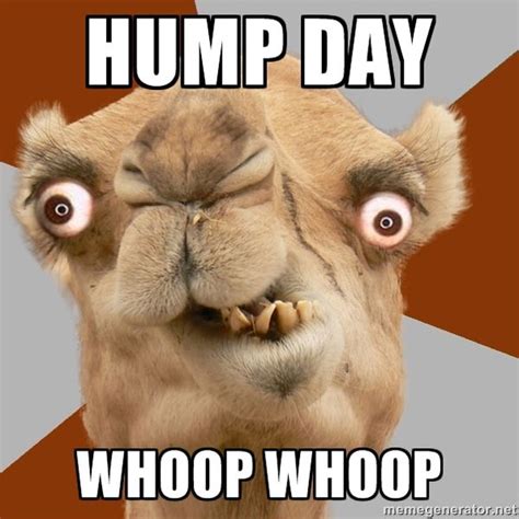 happy hump day memes images humor and funny pics sociallykeeda