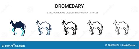 Dromedary Icon In Filled Thin Line Outline And Stroke Style Vector