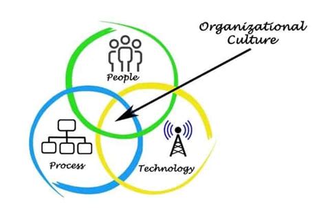 Edgar Scheins Model Of Organizational Culture Management Study Hq