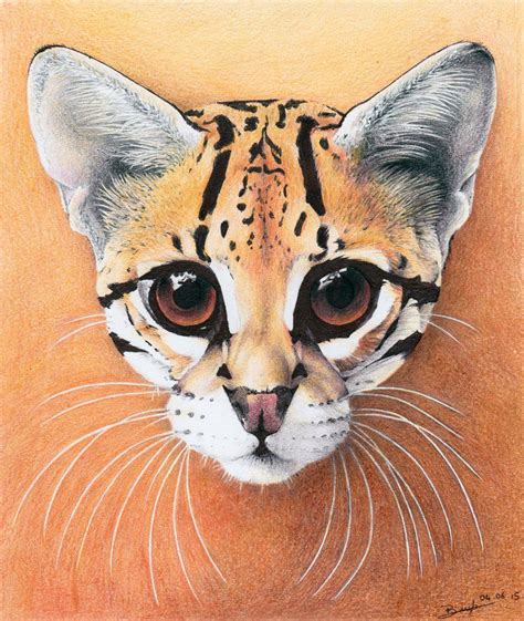 Ocelot By Be A Sin In 2020 Ocelot Animal Sketches Dream Drawing
