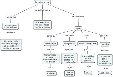 Actividad Mapa Mental Y Conceptual De Las Enfermedades Porn Sex