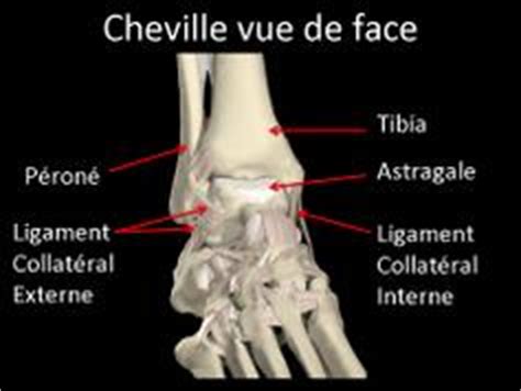 Pack des 4 tomes plein livres. Chirurgie Orthopédique :: Clinique Sarrus Teinturier ...