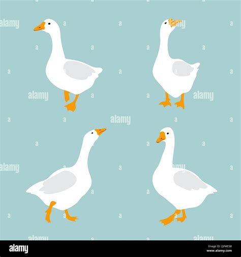 Set Of Cute White Geese Vector Goose Illustration Stock Vector Image