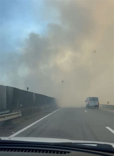 Incêndio atinge vegetação às margens da Via Dutra em Itatiaia e