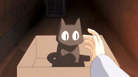 Nichijou Sakamoto Cat  Find On Er