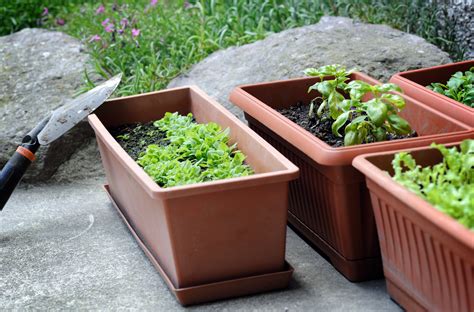 Small Space And Container Gardening Foremans General Store
