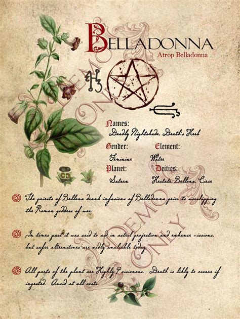 Grimoire, Spell, Herbs and Book of Shadows Pages, Practical Magic
