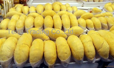 Fresh Durian Monthong in Thailand. products,Thailand Fresh Durian Monthong in Thailand. supplier