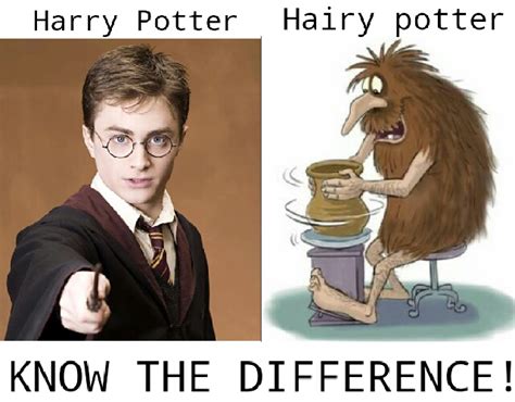 Hairy Potter Meme By Ustinkyo Memedroid