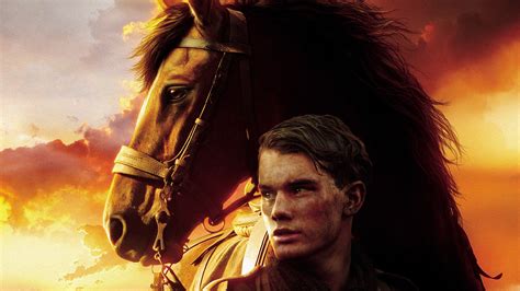 Movie War Horse Hd Wallpaper