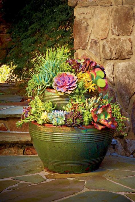 Beautiful Container Gardening Ideas For Your House