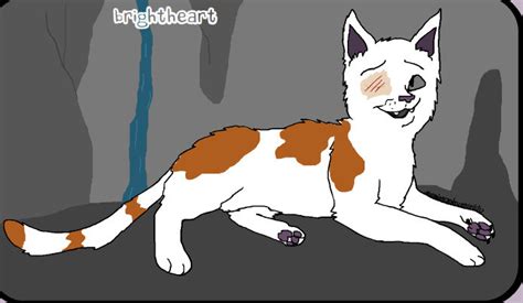 Brightheart Warrior Cat Maker By Warriorcatluver123 On Deviantart