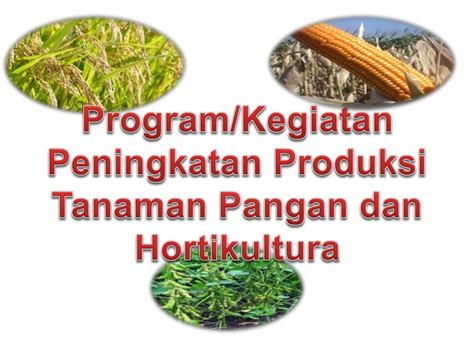 Ppt Pemerintah Provinsi Lampung Dinas Pertanian Tanaman Pangan Dan