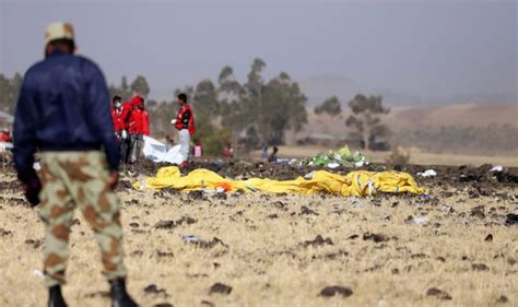 Boeing 737 Max 8 Plane Models Grounded By China After Ethiopian Airlines Crash World News