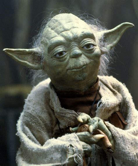 Yoda Jedi Master Unconscious Competence Mastery David M Masters