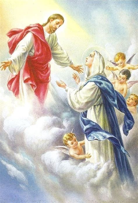 Solemnidad De La Asunción De La Bendita Virgen María Amormeus