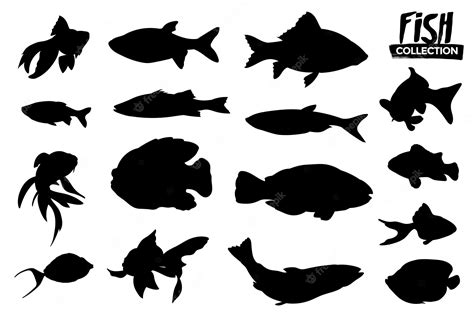 Premium Vector Collection Of Isolated Fish Silhouettes Graphic