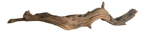 The Best Free Driftwood Vector Images Download From 18 Free Vectors Of