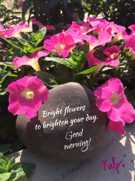 Pin by Kalpana Parmar on Morning Messages by Kalps | Bright flowers ...