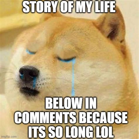 Image Tagged In Crying Doge Imgflip