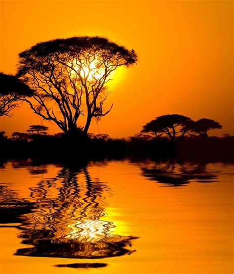 African Sunset With Reflection Kenya Photography Amazing Sunsets