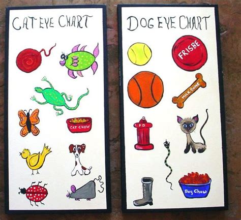Different organizations of cat breed have accepted different colors and patterns. Dog and Cat Eye Charts - by Diane Funderburg Deam from ...