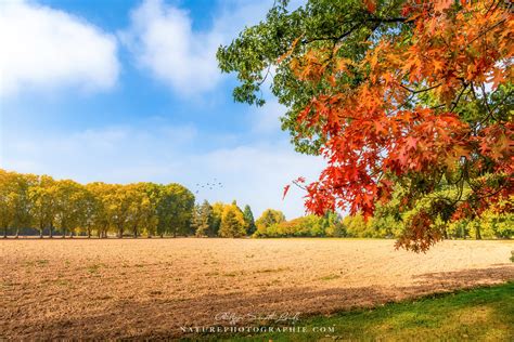 Le métier de guide nature est associé à celui de guide touristique. LES PLUS BELLES PHOTOS DE NATURE PHOTOGRAPHIE