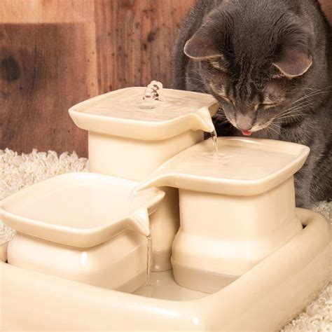 Amazone Fontaine à Eau Pour Chat - Pourquoi mon chat boit peu? Comment bien choisir sa fontaine à eau
