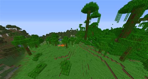 What is the minecraft seed for a jungle. Wierd spawn and modified jungle edge - Minecraft Seeds