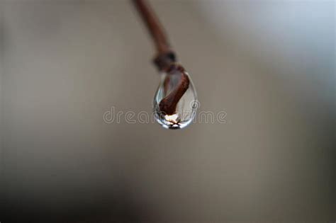 Little Drop Stock Image Image Of Slow Drop Water 150216363