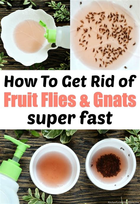 How To Get Rid Of Fruit Flies DIY Fly Trap L Kitchen Fun With My Sons