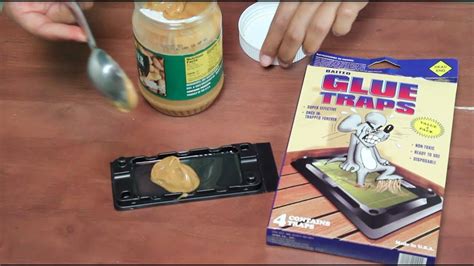 How To Bait A Mouse Trap With Peanut Butter Youtube