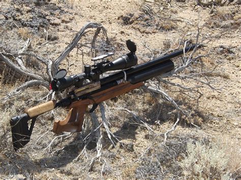 Tofazfous Hpa High Powered Air Gun Expeditions The Dave G