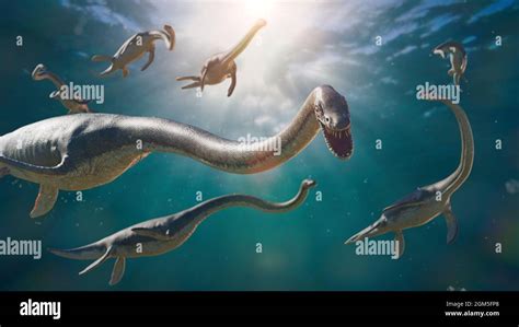 Elasmosaurus Group Of Long Necked Plesiosaurs From The Late Cretaceous