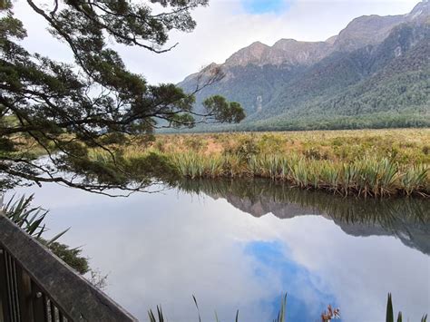 Mirror Lakes Walk Is A Free Walk In Te Anau Best Walk Details Here