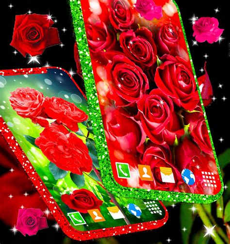 4k Wallpaper Red Rose Live Hd Wallpaper
