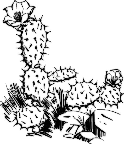 .clip art graphics, including many colors and kinds of cacti and their flowers! Top Cactus Clipart Images - Clipartion.com