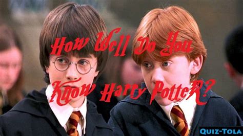 True Or False How Well Do You Know Harry Potter Quiz Tola