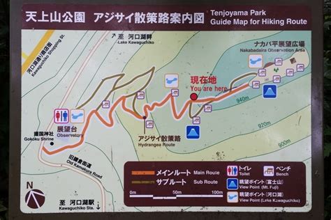 The camera is directed at the mount fuji. Mt Tenjo hike for Mt Fuji views - PHOTOS - Kawaguchiko day ...